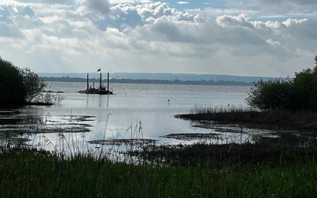 Liebesgeschichte am Dümmer See