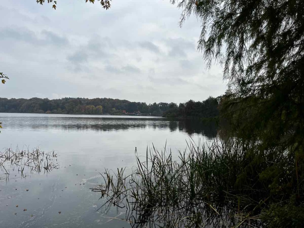 #Bike, #Fahrradtour, #lovingtailwind, #MTB, #Outdoor, #Eutin, #Ostesee, #Tagestour, #Strand, #Dachzelt