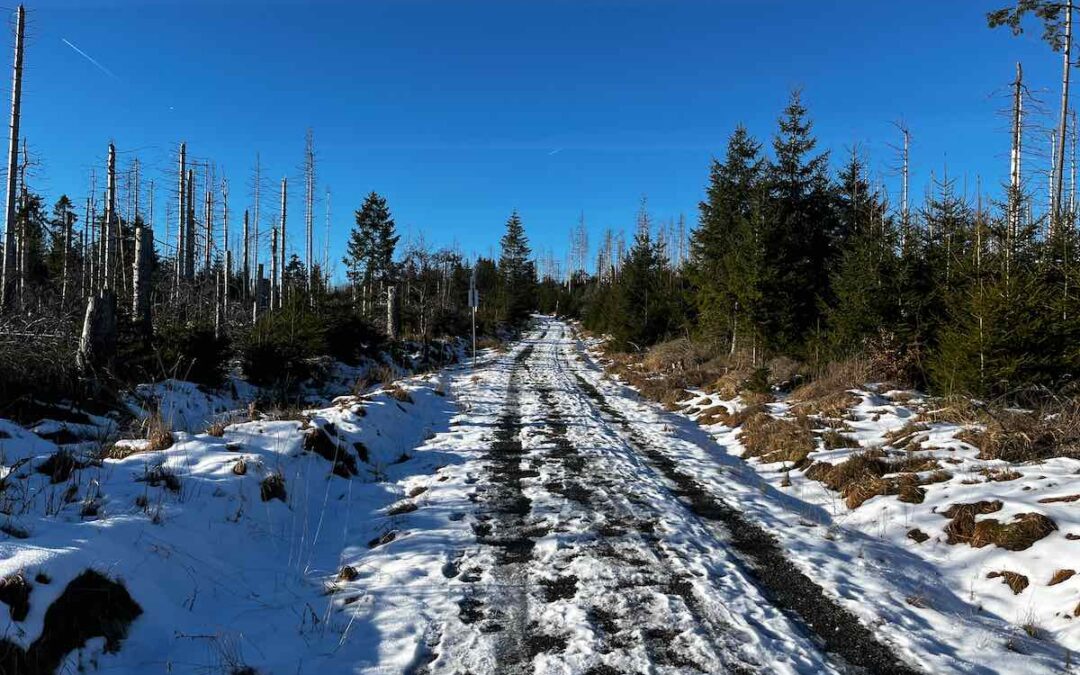 Den Wurmberg überqueren