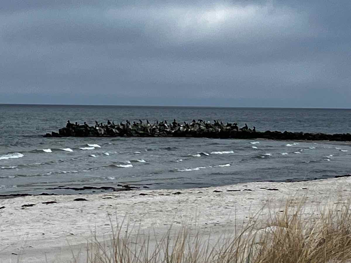 #lovingtailwind, #Outdoor, #Tagestour, #Abenteuer, #Ausflug, #Natur, #Bike,#Gravel, #Fahrradtour, #Meer, #Ostsee, #Strand, #Kalifornien, #Brasilien, #Laboe