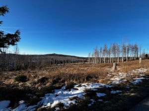 Offene Hochfläche im Harz mit Schnee, Sonne und weitem Blick