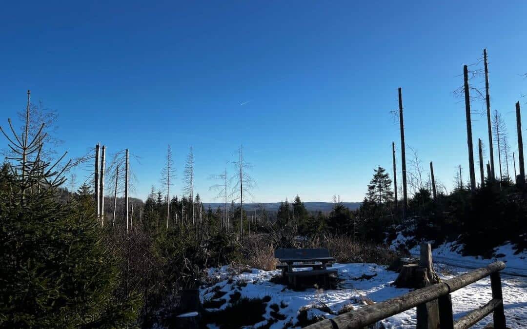 Biken auf dem Wurmberg