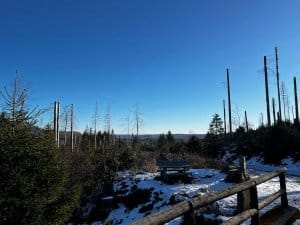 Aussichtspunkt im Harz mit Holzgeländer und Blick Richtung Wurmberg