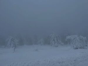 Weite Schneefläche im Nebel auf dem Brocken, winterliche Stille im Harz