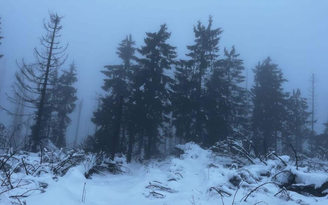 Der Brocken im Dezember – Winterliche Radtour im Harz