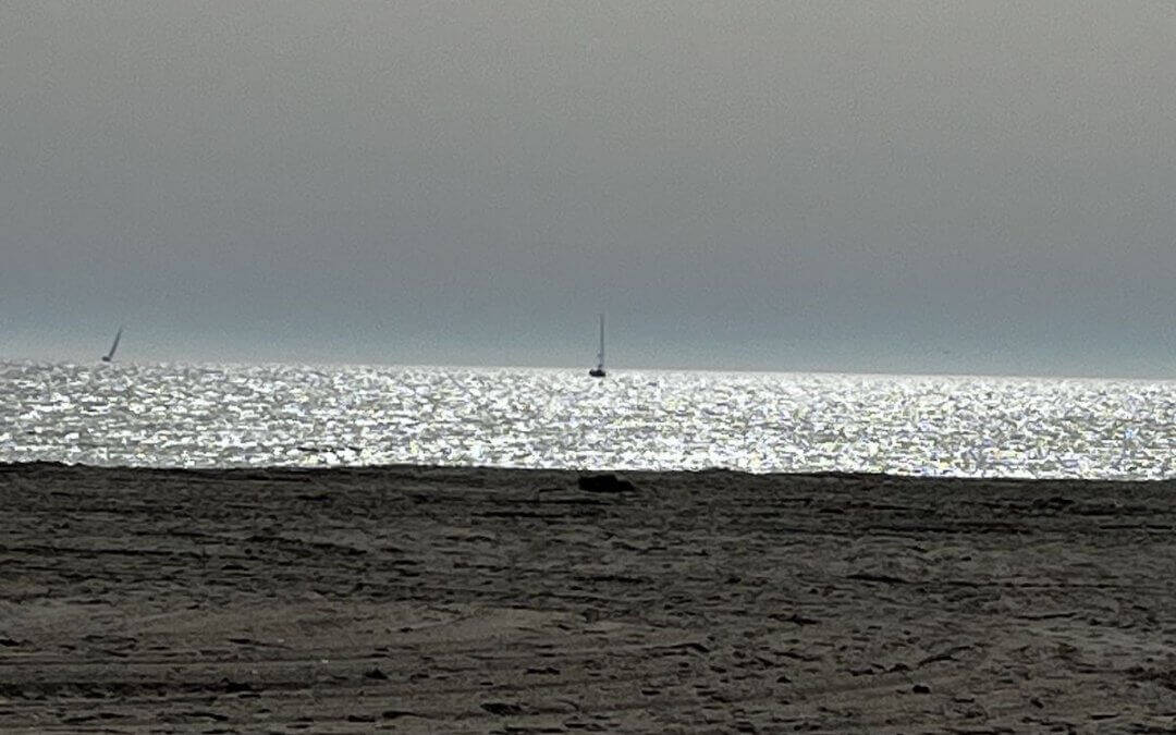 Fehmarn per Rad – Inselrunde zwischen Wind, Meer & Freiheit