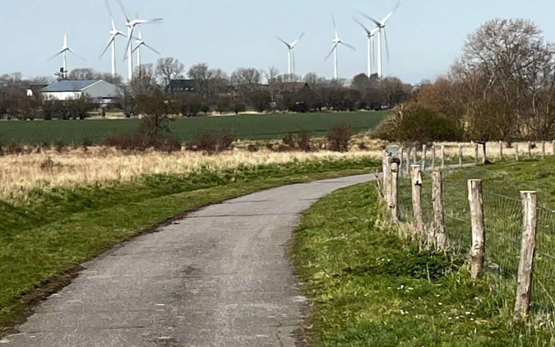 Zwischen Trampelpfad und Traumstrand – Fehmarn per Rad