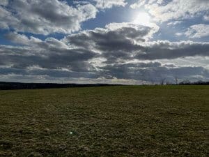 Offene Wiesenlandschaft im Harz unter dunklen Wolken – raue Stimmung vor der Mountainbike-Tour