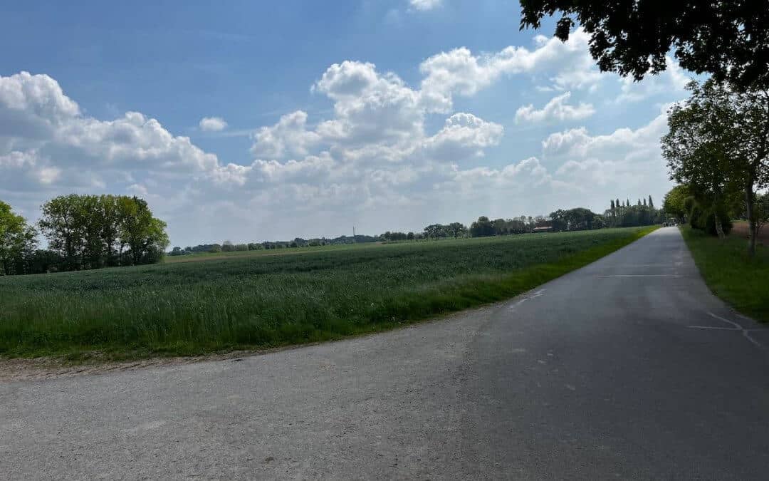 Treten, träumen, tanzen – Hoya macht mobil