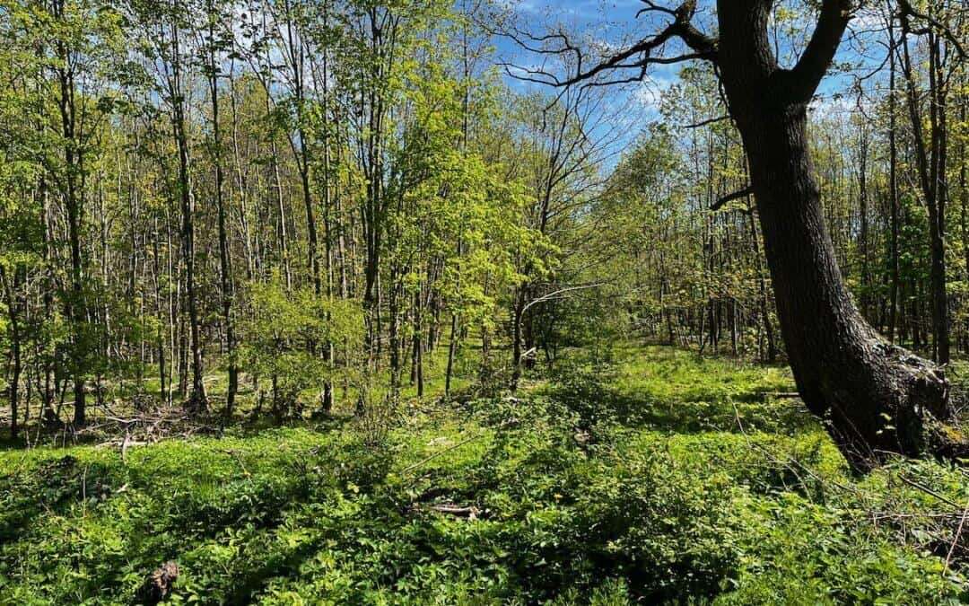 Mit dem Bike an den Timmendorfer Strand – Ostsee