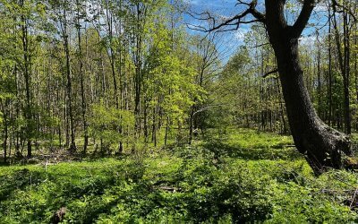 Mit dem Bike an den Timmendorfer Strand – Ostsee