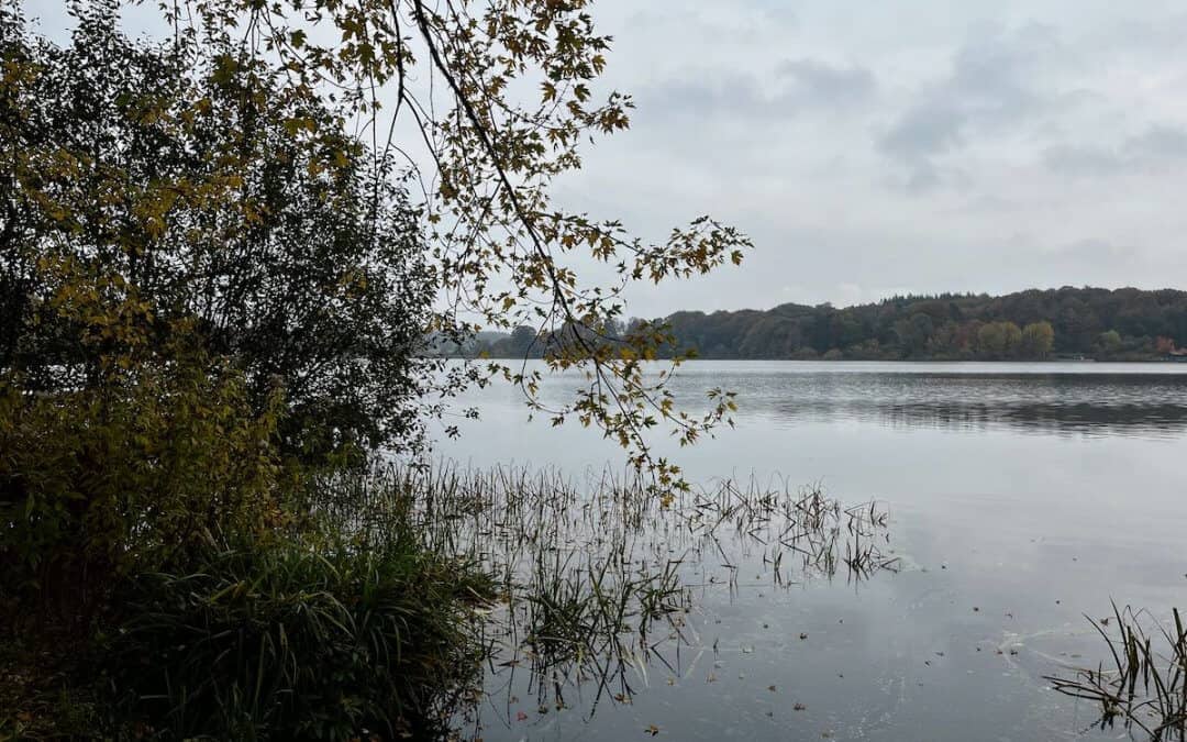 Laub unter den Reifen, Freiheit im Kopf – Eutin erleben