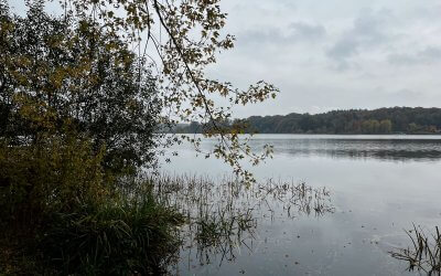 Eutin Radtour im Herbst – Laub unter den Reifen & Freiheit im Kopf