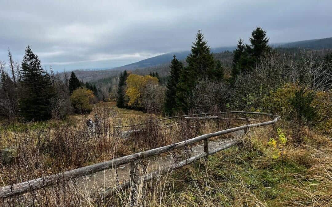 MTB Tour Torfhaus im Harz – Goldener Herbst auf zwei Rädern.