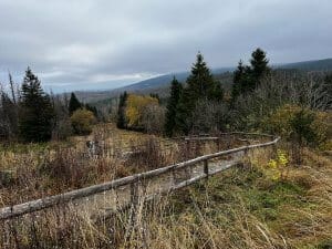 Aussichtspunkt mit Geländer und Weitblick über den herbstlichen Harz