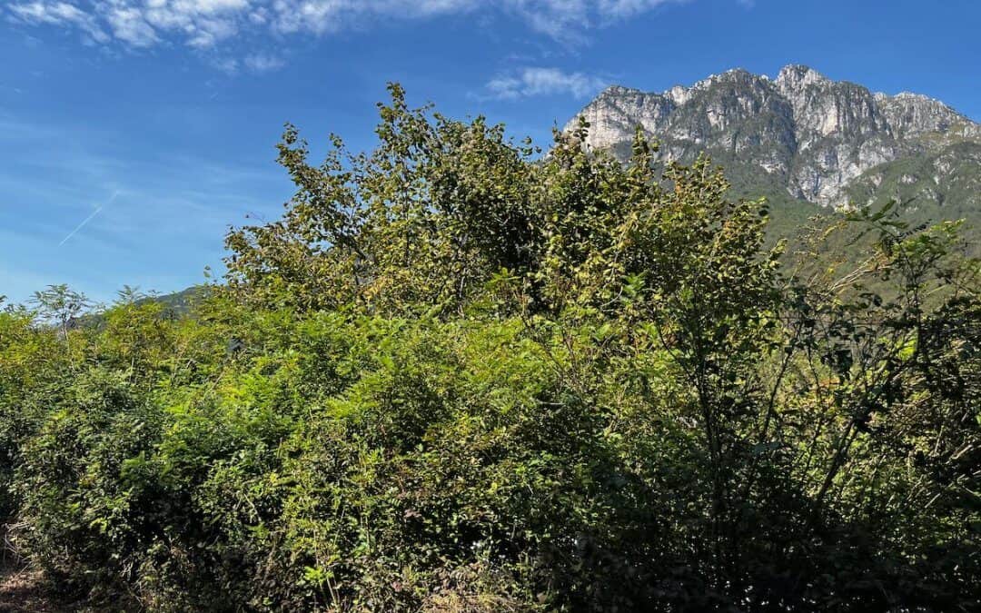 Über die Berge ans Meer – Tag 6
