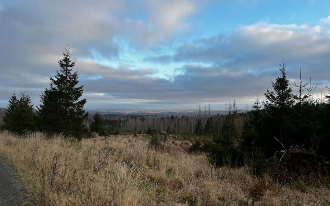 Clausthal-Zellerfeld – Mountainbiken im Harz mit Sonne, Trails und Stürze