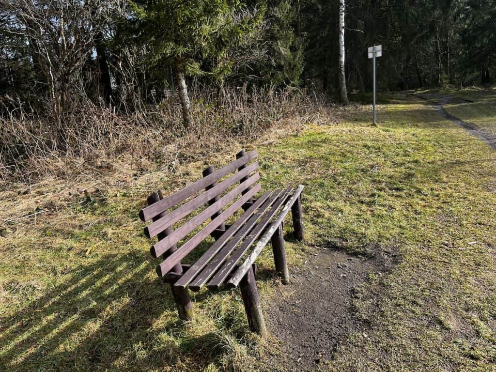 Leere Holzbank an einem sonnigen Waldrand im Harz