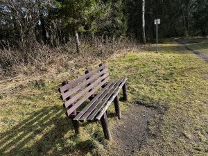 Leere Holzbank an einem sonnigen Waldrand im Harz