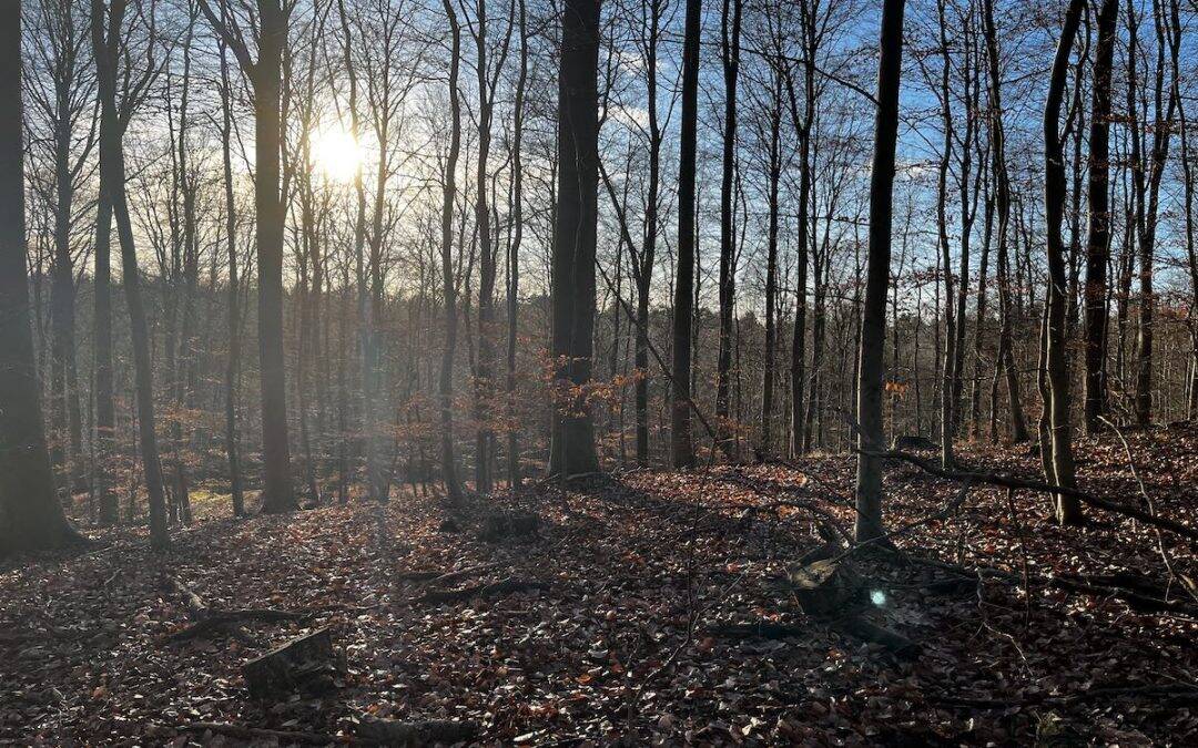 Radfahren in der Lübecker Bucht– Ein perfekter Tag auf zwei Rädern