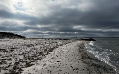 Radtour in Kalifornien – Fahrradtour Ostsee