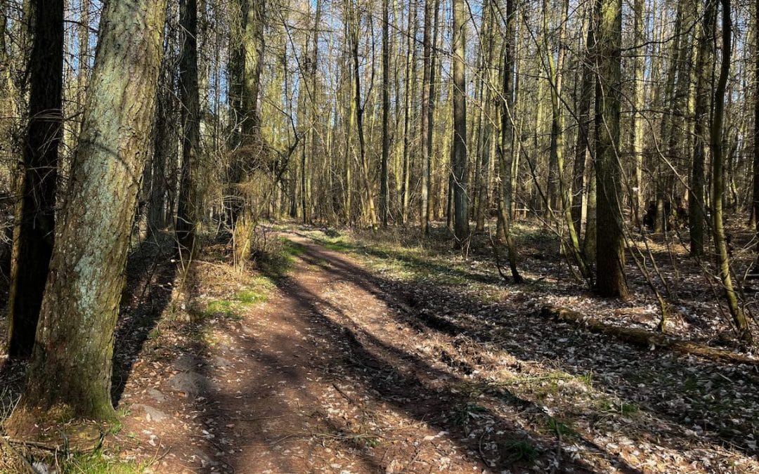 Boltenhagen – Steilküste, Wald und Weite
