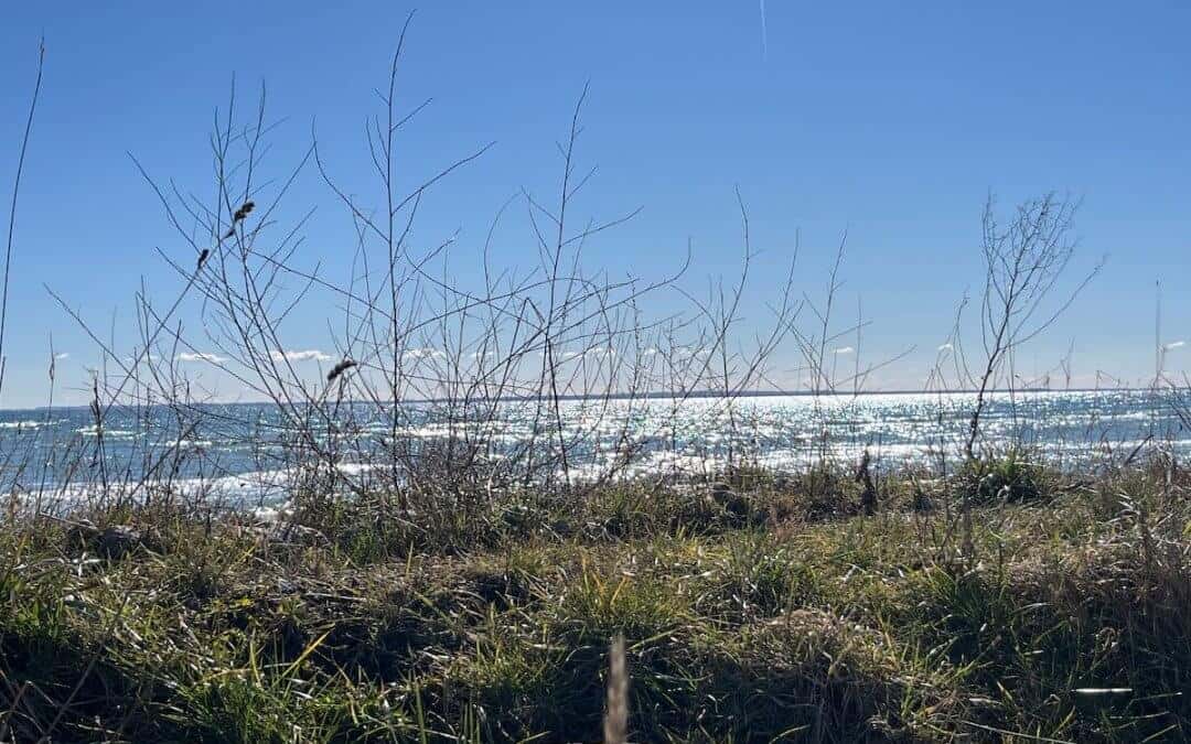 Graveln bei Dahme – Ostsee, Küstenwind & pures Gravelglück