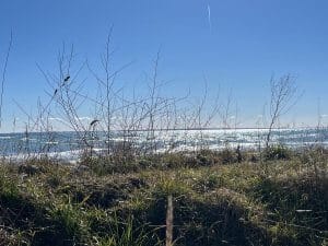 Gräser und Dünen mit Ostseeblick bei Dahme