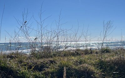 Graveln bei Dahme – Ostsee, Küstenwind & pures Gravelglück