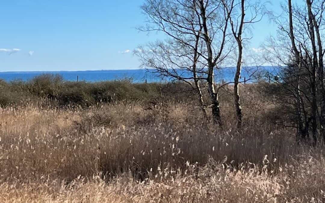 Gravelglück in Dahme – zwischen Kater, Küste und Kaffee