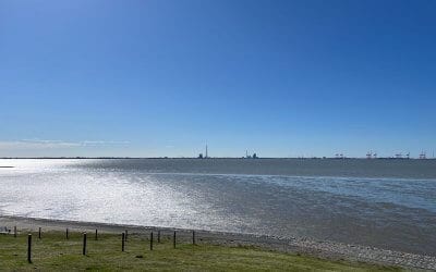 Fahrradtour in Butjadingen – Schafe, Schlick an der Nordsee