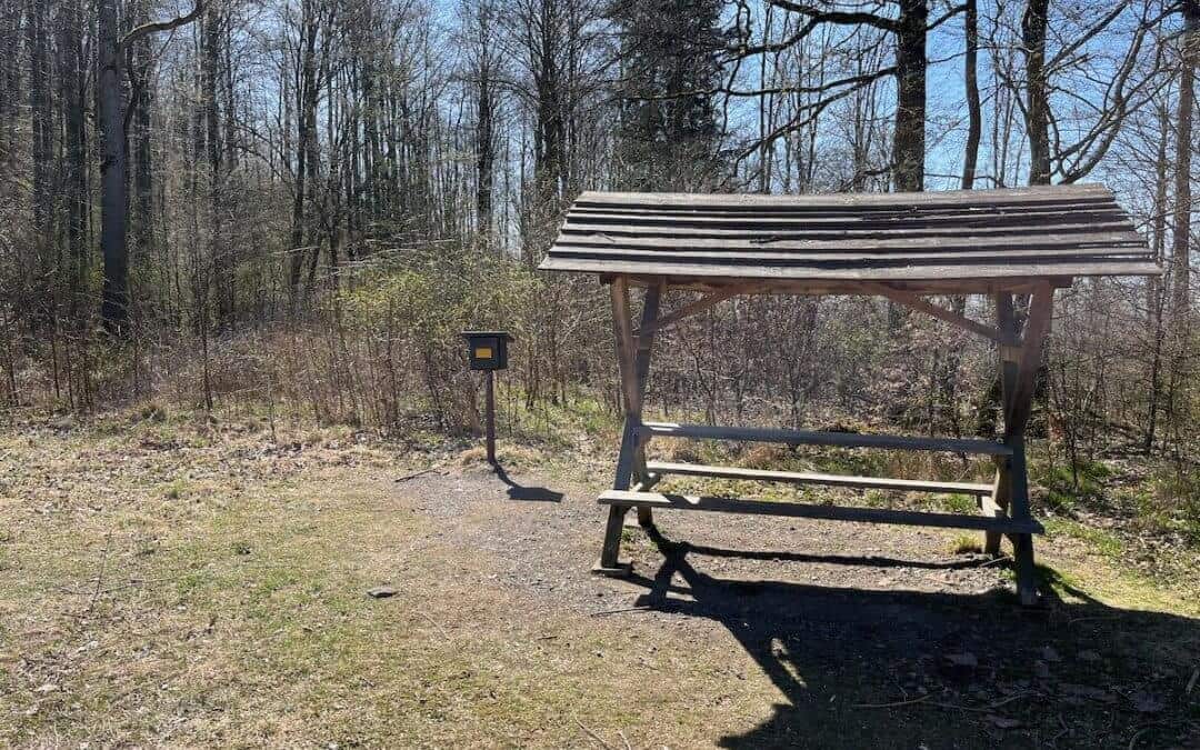 Poppenberg Harz Fahrradtour – MTB-Abenteuer mit Aussicht