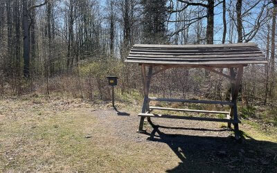 Poppenberg Harz Fahrradtour – MTB-Abenteuer mit Aussicht