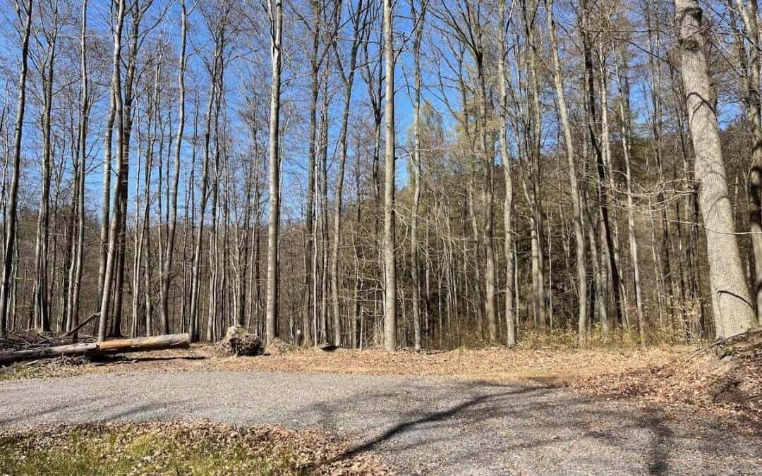 Poppenberg Harz Fahrradtour – MTB-Abenteuer mit Aussicht
