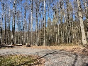 Weggabelung im Harzer Wald während der Poppenberg Fahrradtour