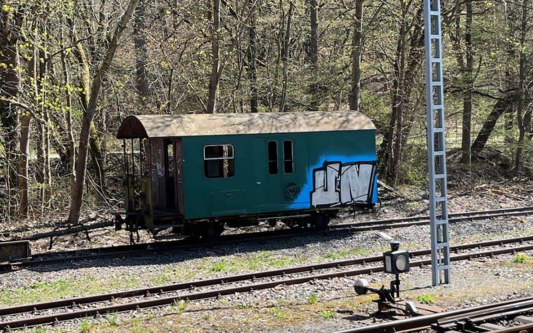 Poppenberg ruft – mein Harz-Abenteuer auf zwei Rädern