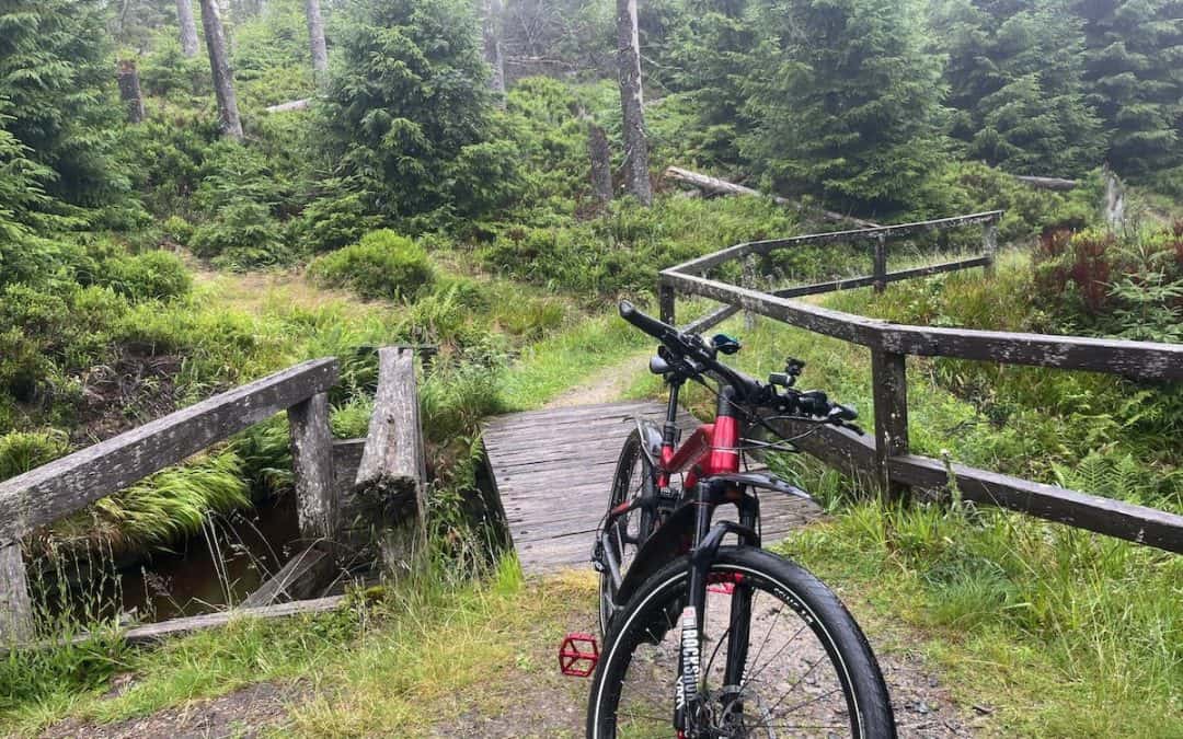 Ein Sommerausflug im Harz