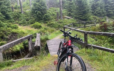 Radtour im Harz – mitten durch Regen und Wald