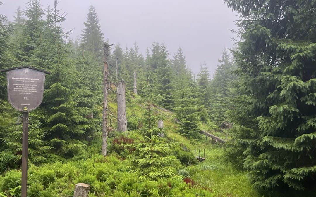 Radtour im Harz – mitten durch Regen und Wald