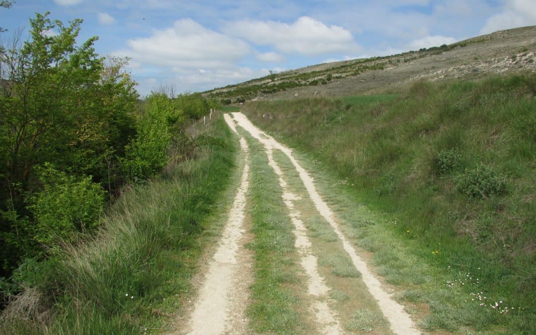 Camino Frances Teil 1 – Der Moment des Aufbruchs & Lektion