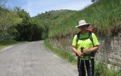 Camino Frances Teil 3: Cruz de Ferro & Klosterwärme