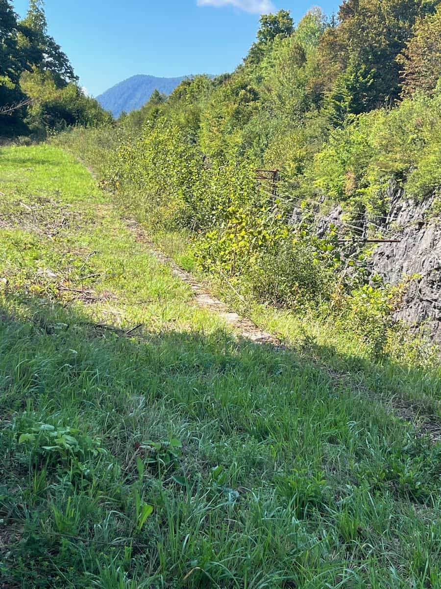 von Ljubljana nach Bosovizza