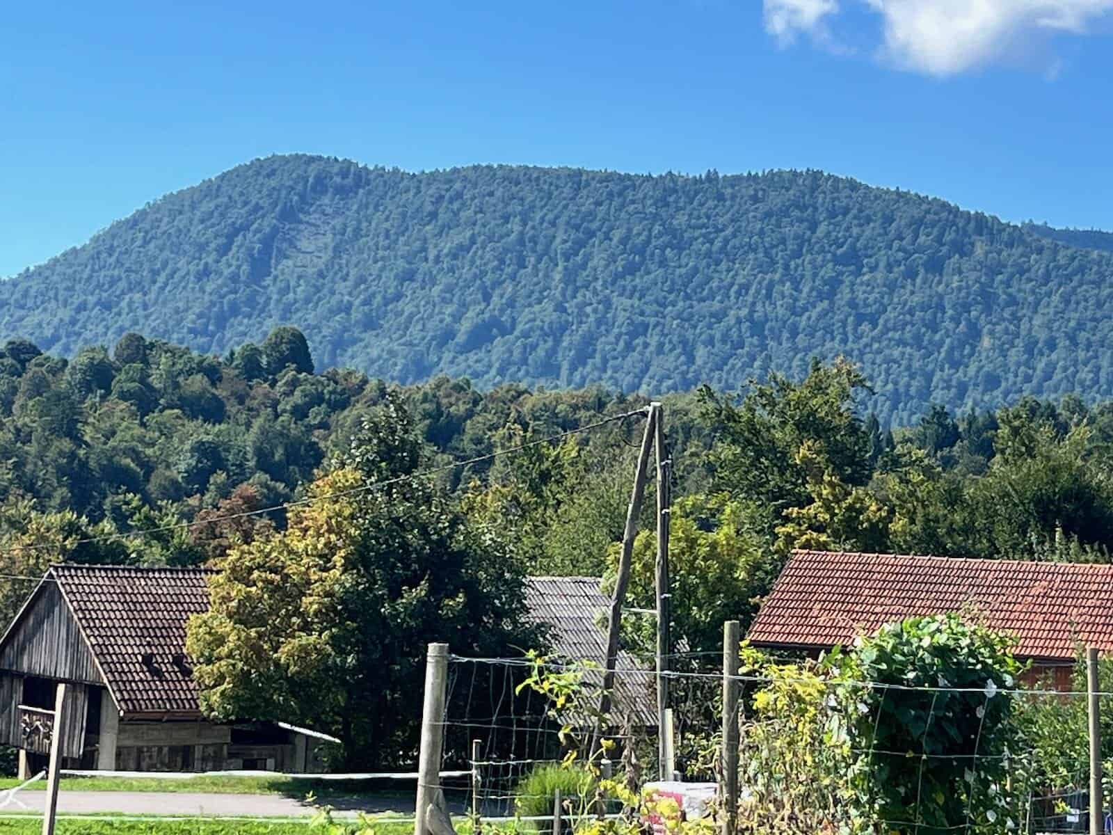von Ljubljana nach Bosovizza