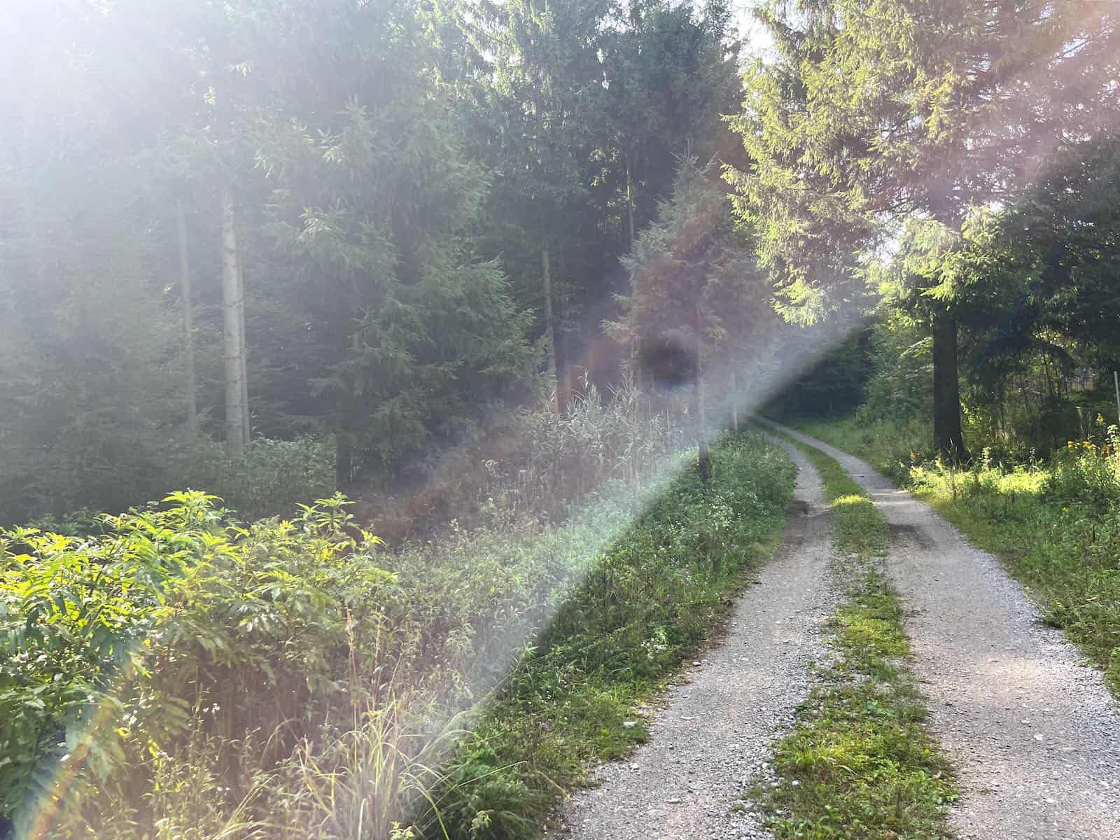 von Ljubljana nach Bosovizza