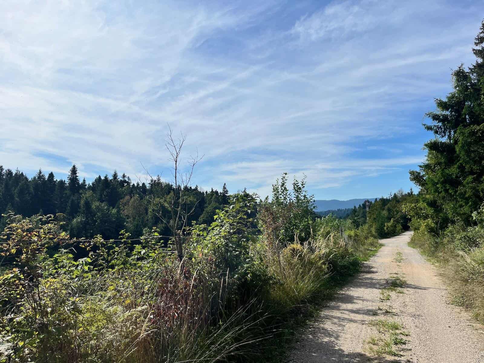 von Ljubljana nach Bosovizza