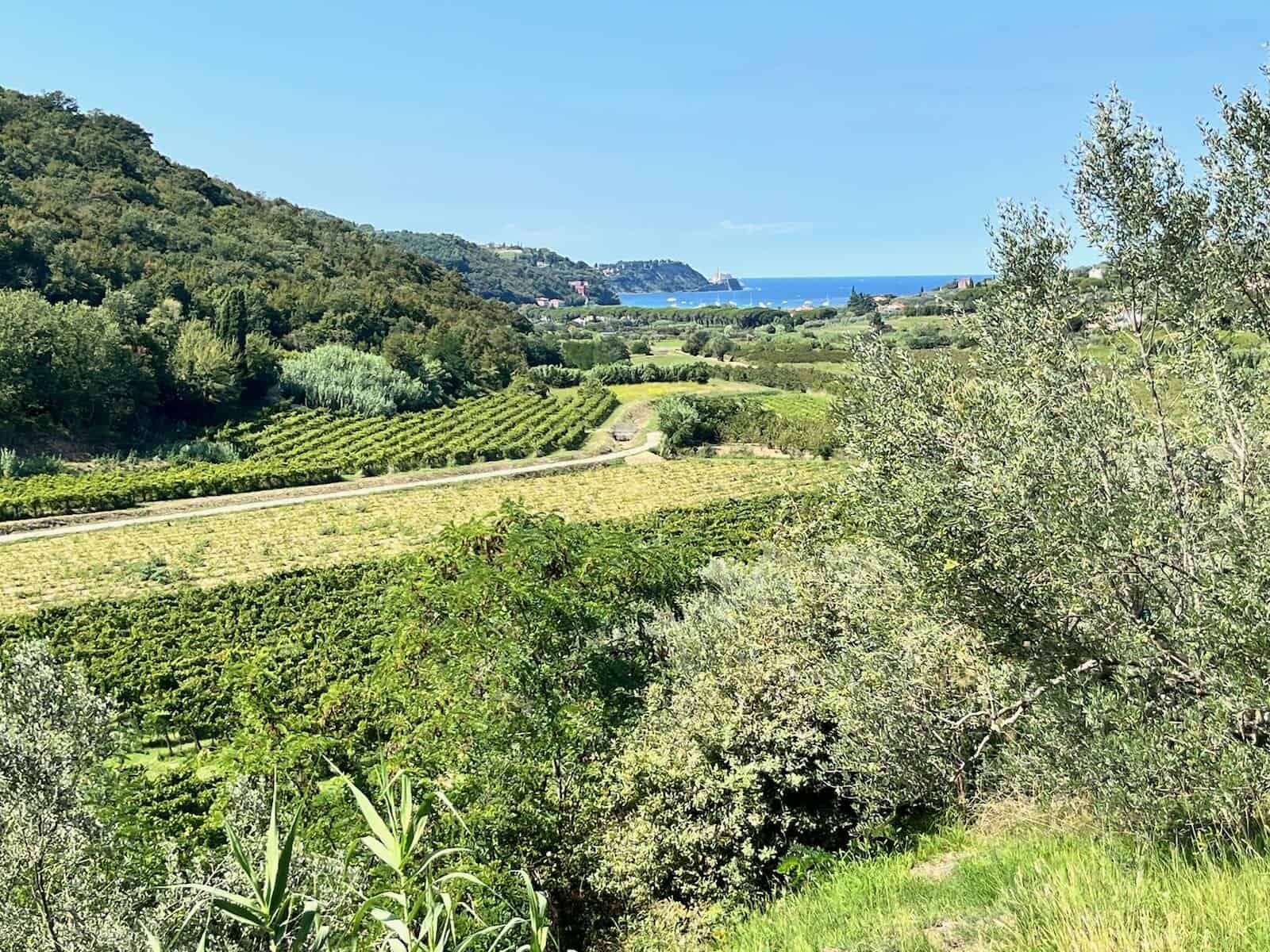 von Bosovizza nach Umag