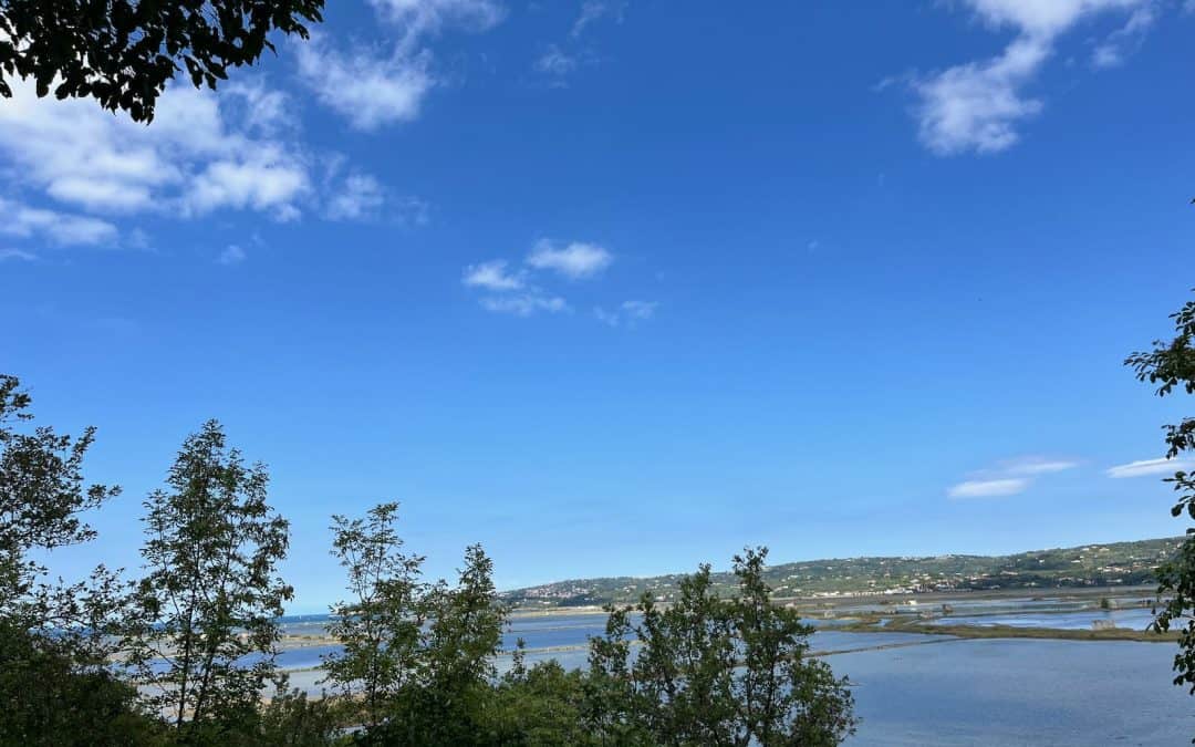 Angekommen in Istrien – Von Bosovizza nach Umag