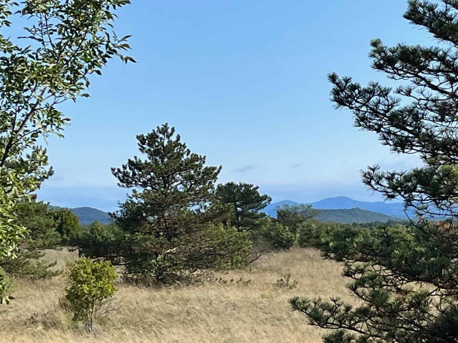 von Bosovizza nach Umag