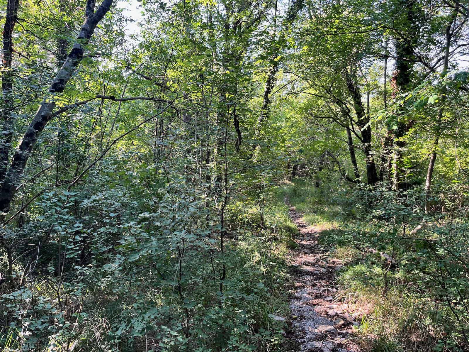 von Bosovizza nach Umag