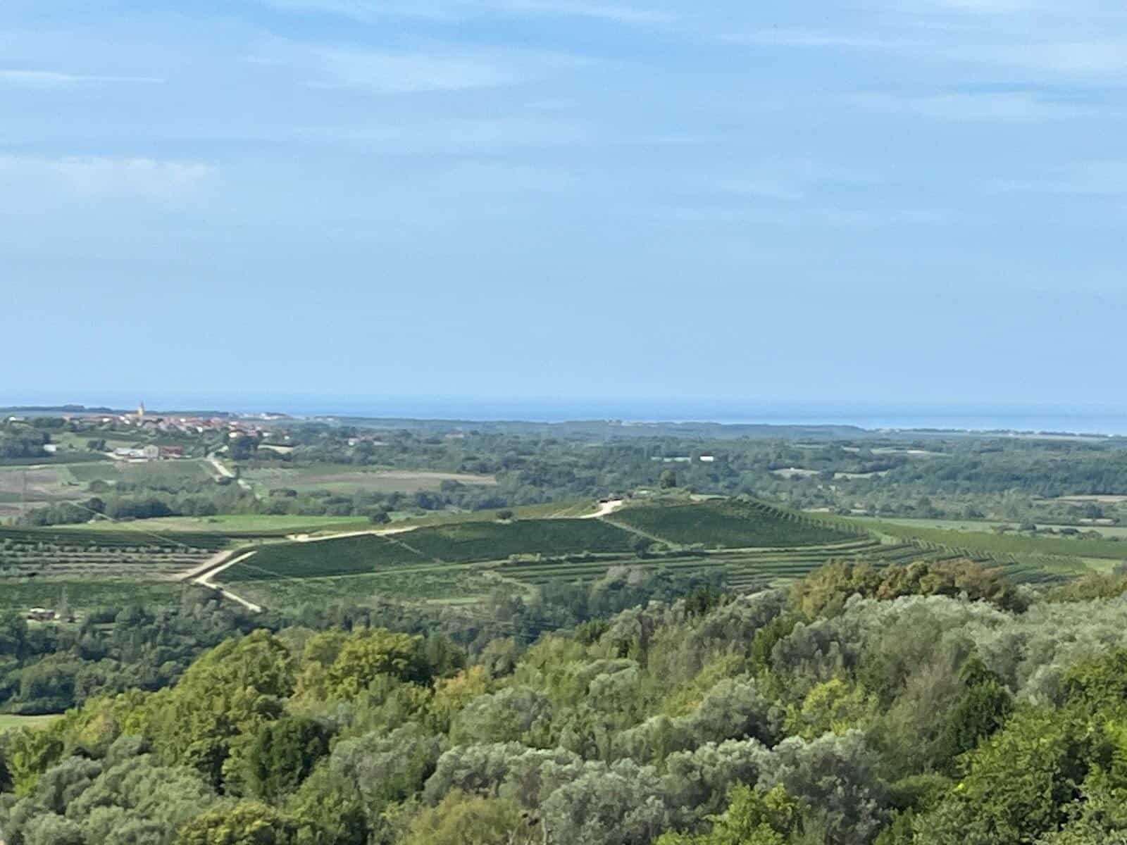 von Umag nach Buzet